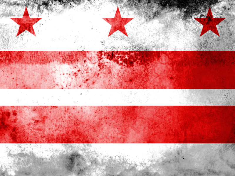 flag of washington, dc