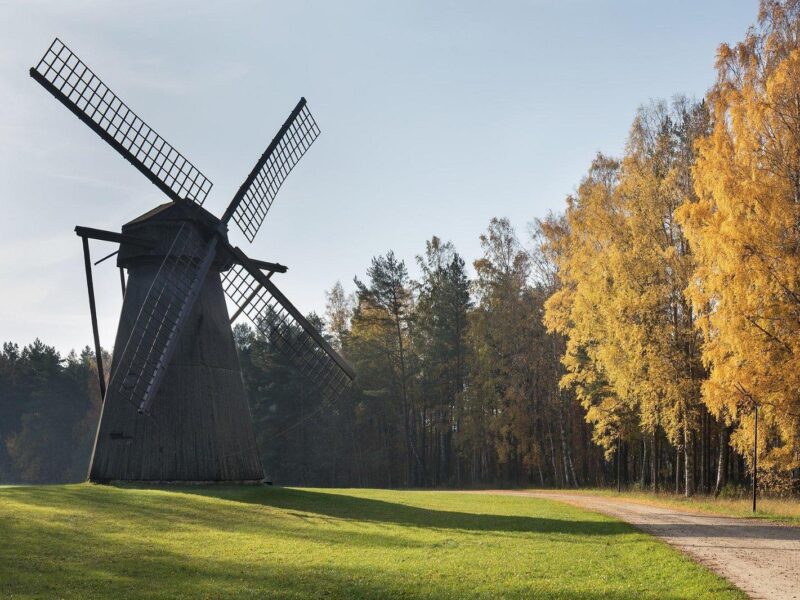 Estonian Open Air Museum. Image of a large windmill surrounded by trees.